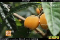 [ÿ��ũ��]�Ĵ����ٴ������ǵ�����������