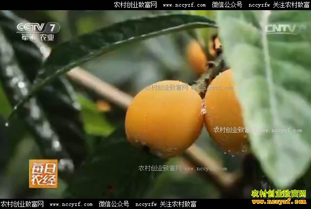 [ÿ��ũ��]�Ĵ����ٴ������ǵ�����������