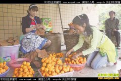 �������������� �Ĵ�����������������Ȧ�����û�