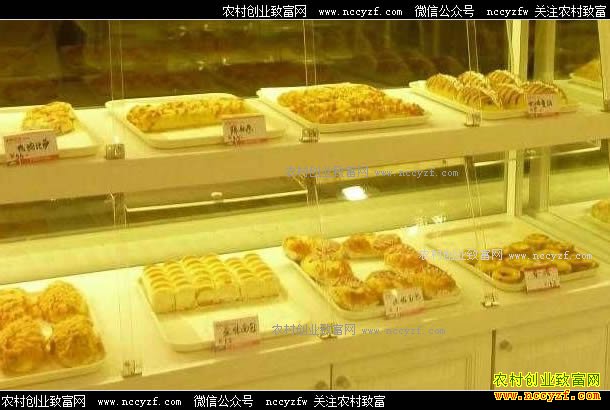 �������׬Ǯ�𣿿�һ����ɫ�����Ͷ��С�г���