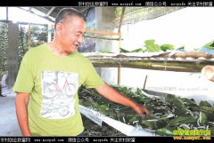 �Ĵ������ش�ɳ�Ӵ壺��ɣ���ϳ�ũ���¸�����Ŀ