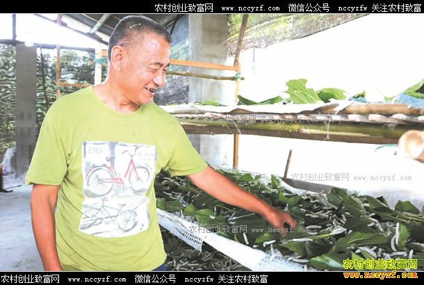 �Ĵ������أ���ɣ���ϳ�ũ���¸�����Ŀ