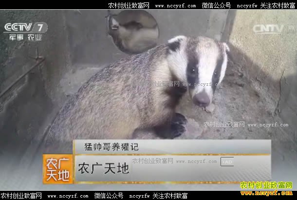 [ũ�����]�ӱ������ؾ�������⵼�