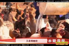 [�Ƽ�Է]����������ѧУ԰���и�������