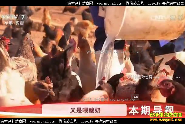 [�Ƽ�Է]����������ѧУ԰���и�������