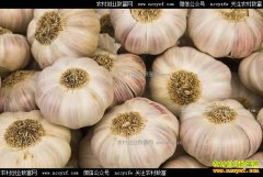 ��������۸��� ����۸�仯����