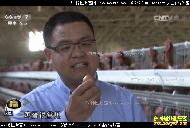 [�Ƽ�Է]�ü�������Ҫ�ĵ� 20170613