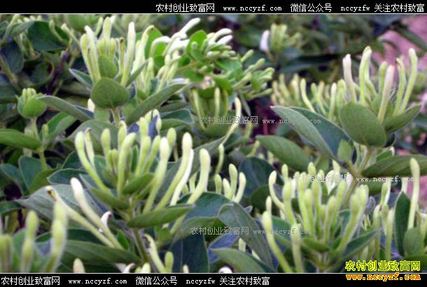 ����������ڽ����� ������Ȼ����