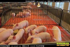 ����׬Ǯ����30ͷ��һ����׬����Ǯ��