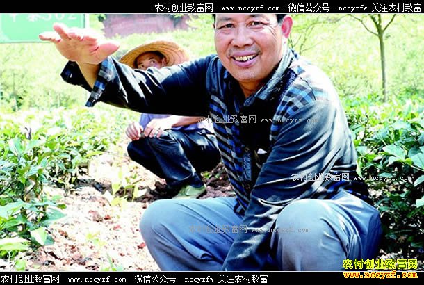 �Ĵ����������²�԰�����޼�����Ч���