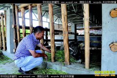 �Ĵ������ذ���ȫ���紴ҵ��ͥũ��ǰ����