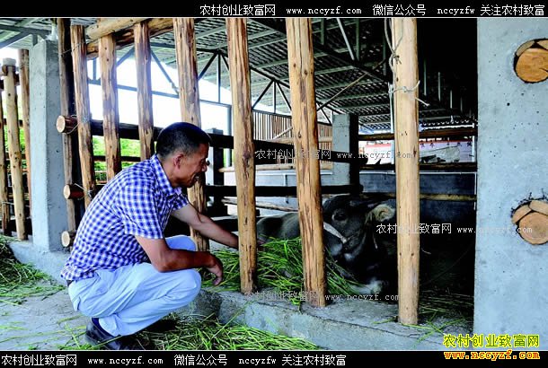 �Ĵ������ذ���ȫ���紴ҵ��ͥũ��ǰ����