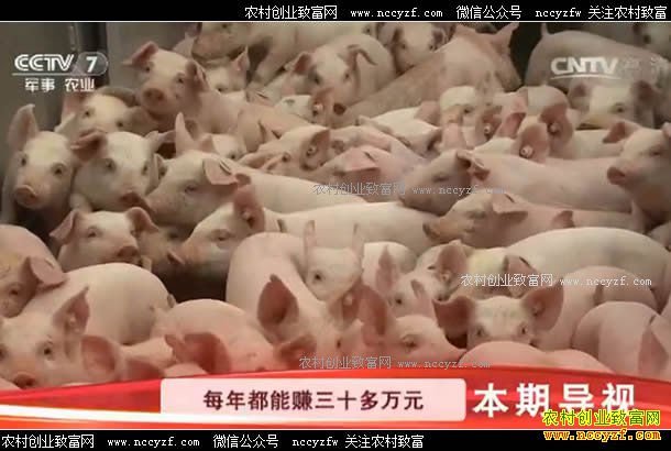 [�Ƽ�Է]�Ĵ������ذ׷����������� ��ˬ��Ҳˬ