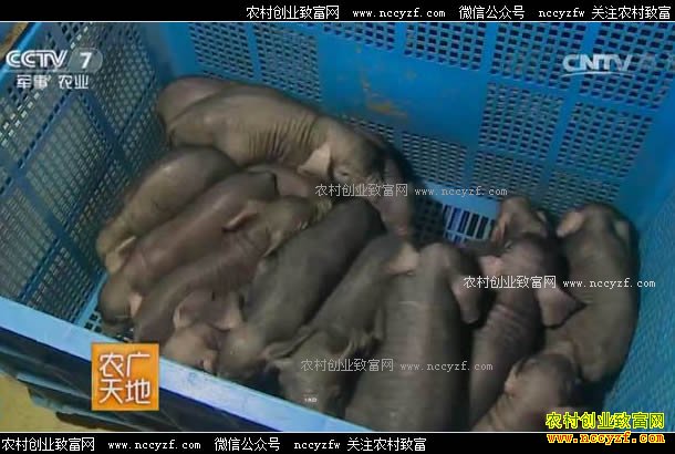 [ũ�����]���� 20170702