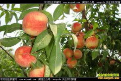 �������������������������ꡱ ���Ӽ۸������ߵ�