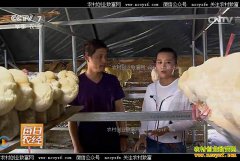 [ÿ��ũ��]���������֣�����Ժ�ĺ�ͷ����׬Ǯ