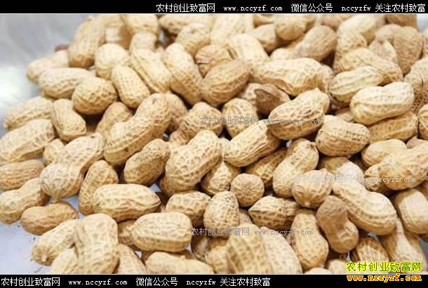 2017���°��껨���۸�Ԥ�⣺���������Ѹ� �����������