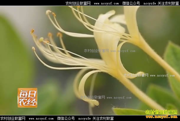 [ÿ��ũ��]������յĽ��������۸�