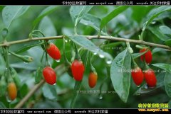 ������������轼۸��»�