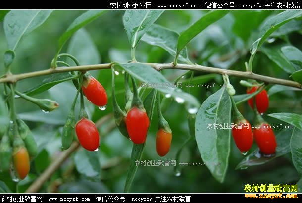 ������������轼۸��»�