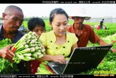 ������΢����ũ��Ʒ��΢������ũ��Ʒע������