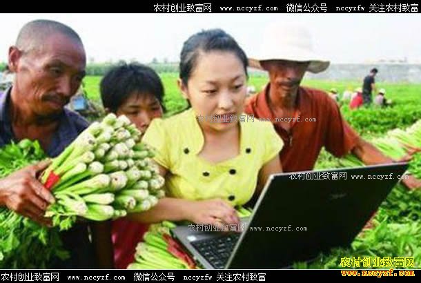 ������΢����ũ��Ʒ��΢������ũ��Ʒע������