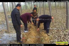 ʲô�������ֽ���ã�