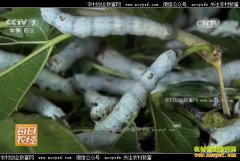 [ÿ��ũ��]ɽ�������أ���������ʡ��Ч���