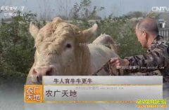 [ũ�����]����������������������ţ������Ƶ