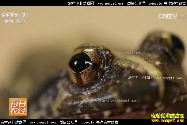 [ÿ��ũ��]������͡�����쳩����ʯ����������