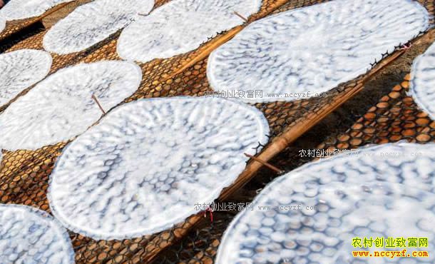 ���������ͬ���ӹ��̶���Ƥ��׬������