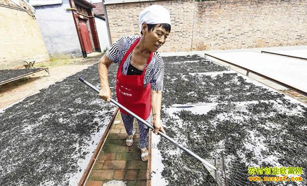 8��14�գ��ӱ������¼�Ԫũ��רҵ�������ũ������ɹ������