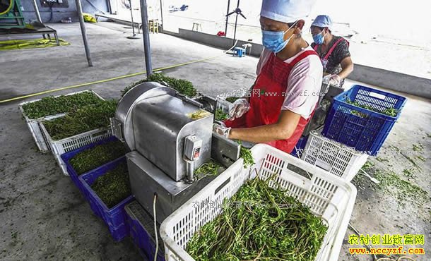 �ӱ������¼�Ԫũ��רҵ�������ũ���ڼӹ�������