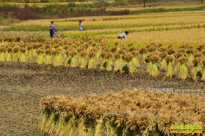 �＾ũ�����̻� ׯ�ڵ���Ҳ�Խ�