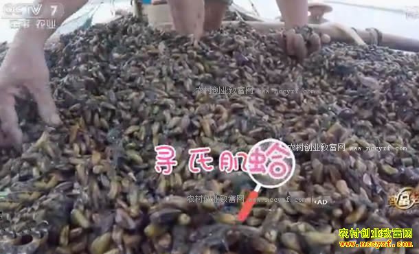 [�¸���]�㶫��ƽ����Ⱥ׳�º��̱����̳��Ƹ�Ȣ����