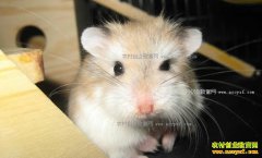 ��ѧ�����������������������׬Ǯ