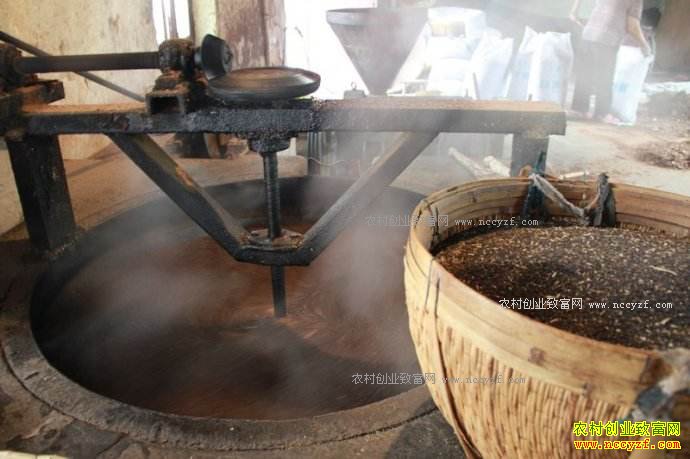 �Ĵ�������������ե���ͷ����������20��Ԫ