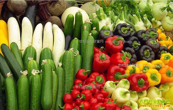 ũ��Ʒ����6����� ����Ĳ�Ʒ������·