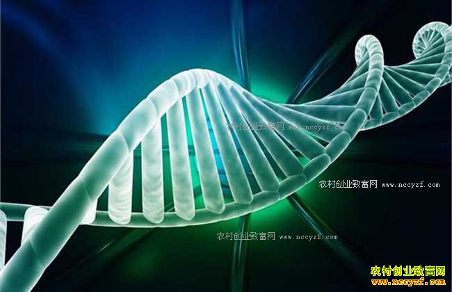 ����ҽҩ��ҵ