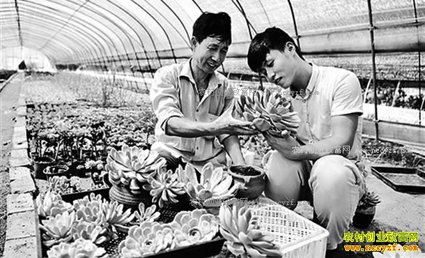 ���շ���90�����Ƿɴ�����ֲ����ֲ��ʵ�ִ�ҵ��