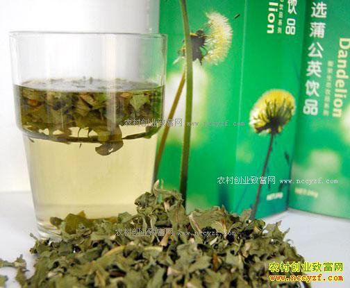 ɽ�����Ϻ��������ɹ���ũ��Ʒ΢��