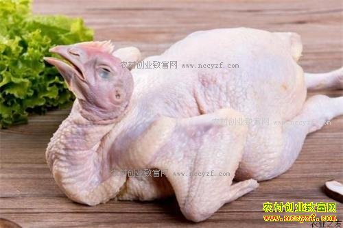 白条鸡价格突然猛涨 专家预测白条鸡价格好景不长勿跟风