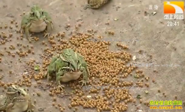 �¸��ð���������֡������������ܡ�