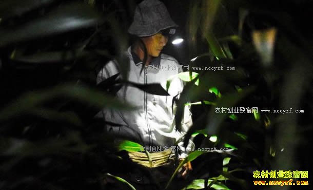 ɽ����������������񺣻ؼ�׽��һСʱ׬��ǧԪ