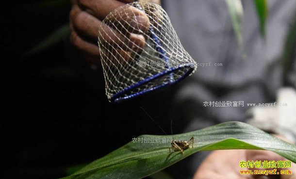 ɽ����������������񺣻ؼ�׽��һСʱ׬��ǧԪ