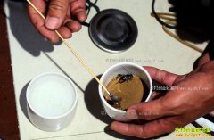 ɽ���������󰡰�����ˡ�����������Ԫ