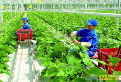 δ��ũ��׬Ǯ���ȵ� �緢����׬Ǯ