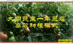 [ũ�����]�����߲�һ�������Ч��ֲģʽ