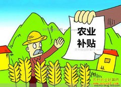 2018������ũҵ�������ߵ���(31��ũҵ�����걨ʱ�������ָ��)