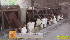 [ũ�����]�Ĵ�����������ţ�ֶ���ֳ��Ƶ